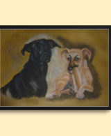 ritratti-di-cani-personalizzati-arte-mistica